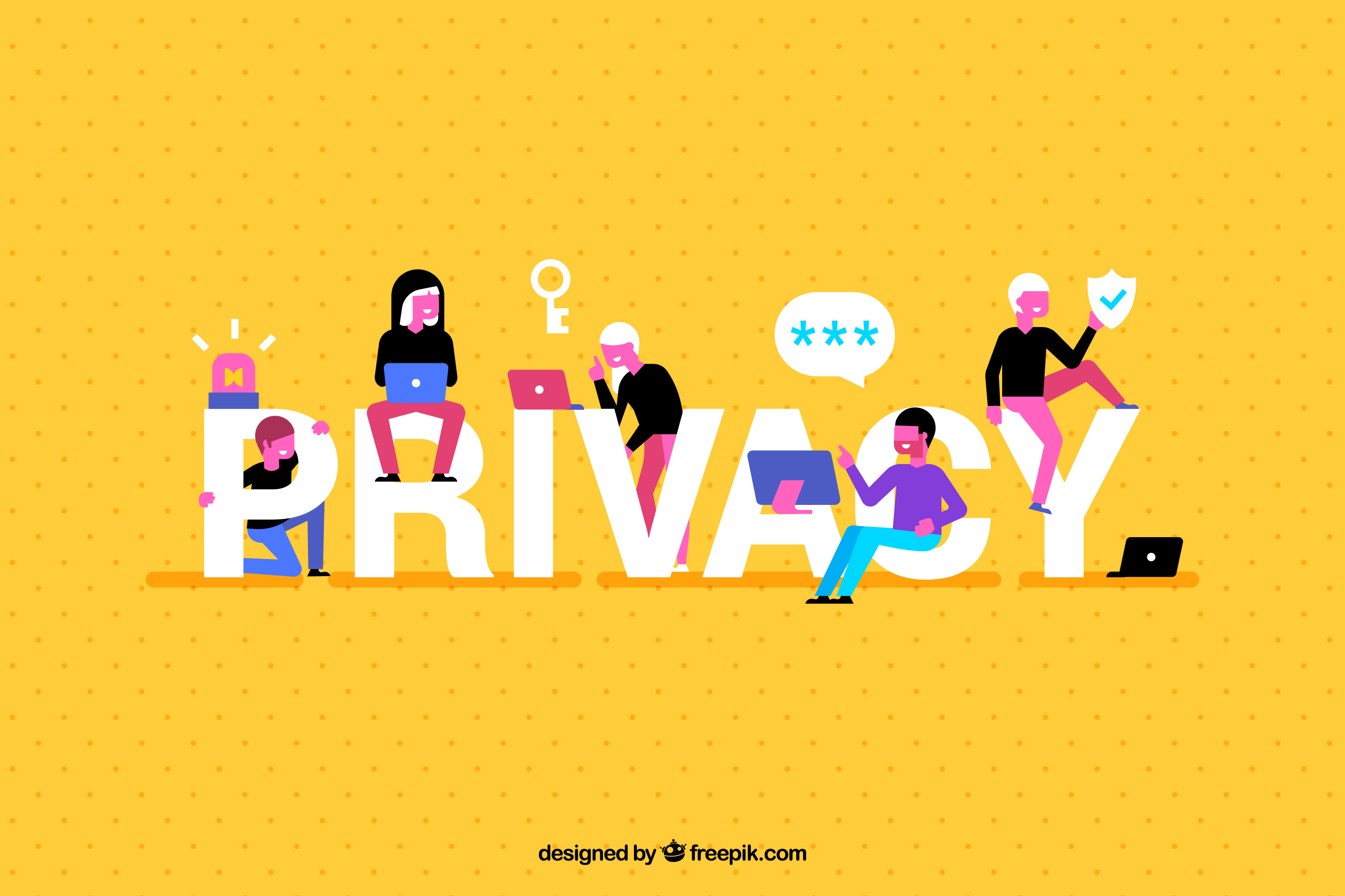 data privacy company