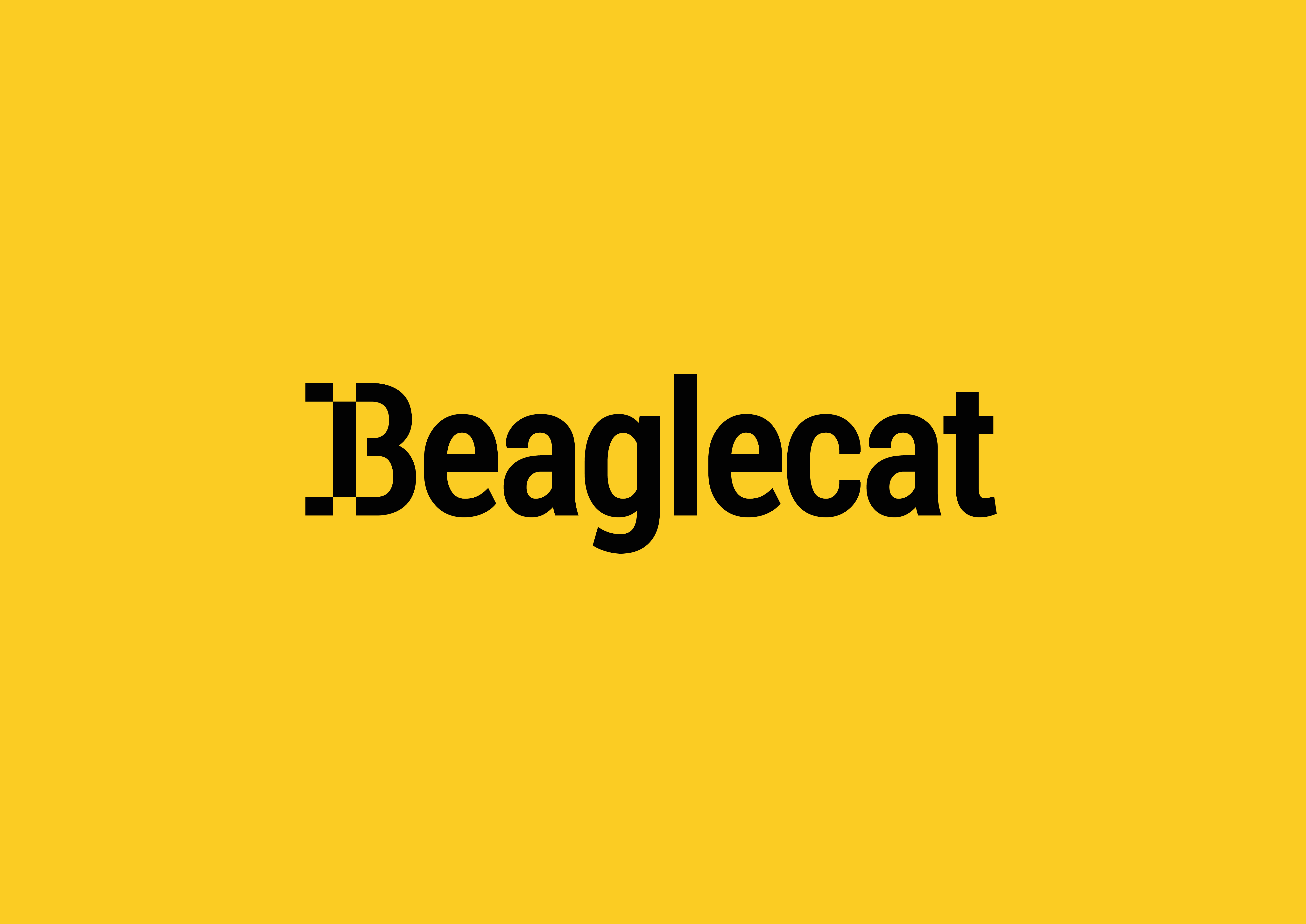 Beaglecat content marketing